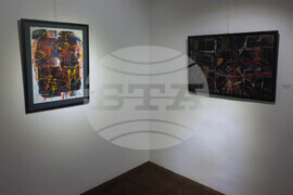 Кюстендил - изложба - Станислав Божанков