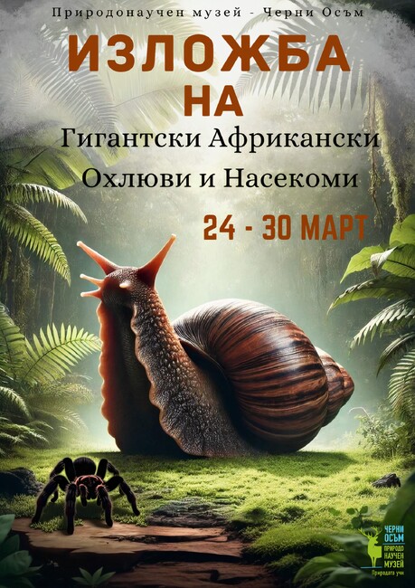 Изложба на гигантски охлюви и екзотични насекоми ще бъде открита в Природонаучния музей в троянското село Черни Осъм на 24 март