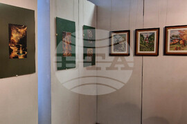 Свищов - изложба "Баба и внуче"