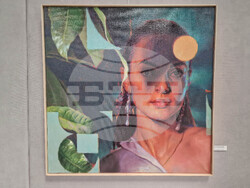 Търговище - изложба - „Великата стена на България“