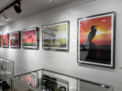 Казанлък - Фотография - изложба