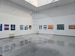 Галерия в Пловдив откри юбилейна изложба на Ангел Пачаманов 