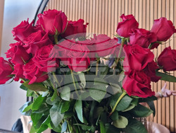 Румъния - Тимишоара - прием по случай националния празник на България - 3 март