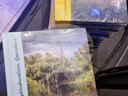 Румъния - Тимишоара - прием по случай националния празник на България - 3 март