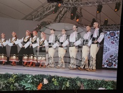 Румъния - Тимишоара - прием по случай националния празник на България - 3 март