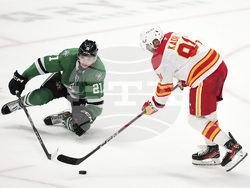 Flames Stars Hockey