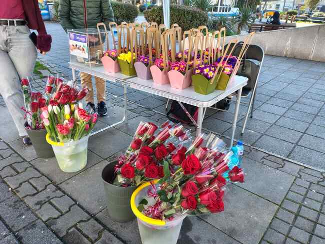Кампания "С цвете в ръка - заедно срещу репродуктивните проблеми" се провежда Бургас