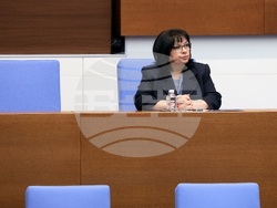 Народно събрание - парламентарен контрол