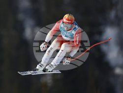 Norway Alpine Skiing World Cup