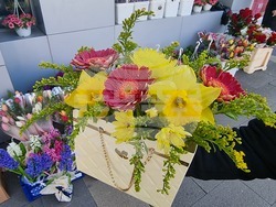 Перник - осми март - цветя