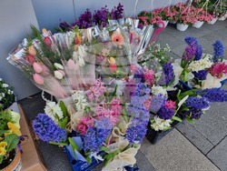 Перник - осми март - цветя