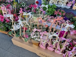 Перник - осми март - цветя