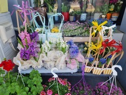 Перник - осми март - цветя