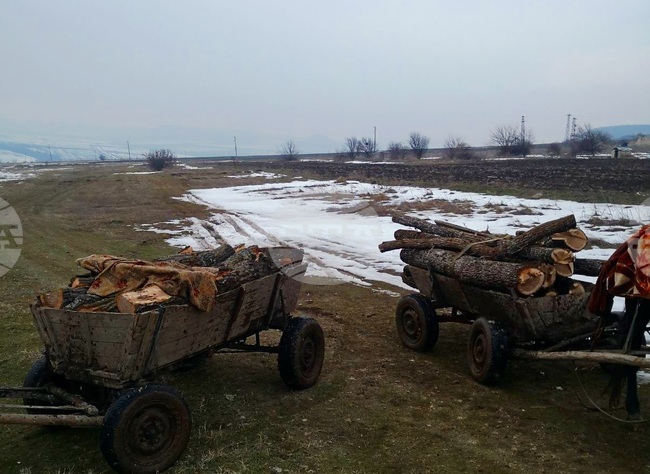 Общо 79 акта за установяване на административно нарушение са съставили лесовъдите от "Северноцентрално държавно предприятие"ДП - Габрово през февруари