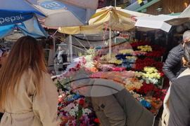 Турция - Анкара - търговия - цветя