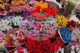 Турция - Анкара - търговия - цветя