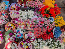 Турция - Анкара - търговия - цветя