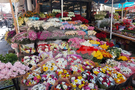 Турция - Анкара - търговия - цветя