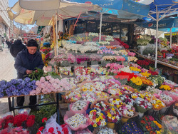Турция - Анкара - търговия - цветя