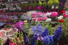 Турция - Анкара - търговия - цветя