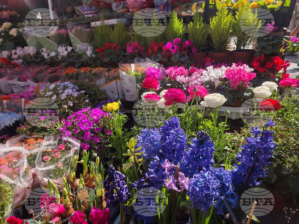 Antalya Exports 80 Mln Flowers for March 8 to 35 Countries, Bulgaria Among Top Five Destinations