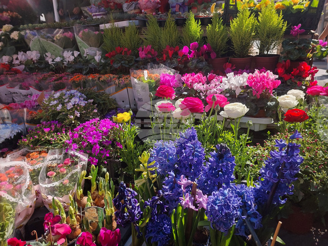 Турция - Анкара - търговия - цветя