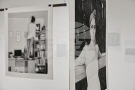 Веселина Николаева - изложба "Голямото сбогуване, голямото посрещане"