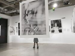 Веселина Николаева - изложба "Голямото сбогуване, голямото посрещане"