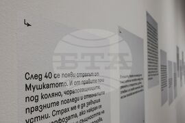 Веселина Николаева - изложба "Голямото сбогуване, голямото посрещане"