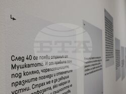 Веселина Николаева - изложба "Голямото сбогуване, голямото посрещане"