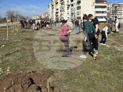 Враца - кампания „Зелена Враца“ - залесяване