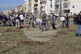 Враца - кампания „Зелена Враца“ - залесяване