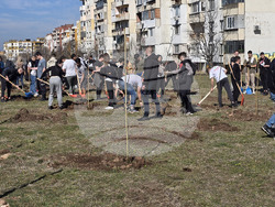 Враца - кампания „Зелена Враца“ - залесяване