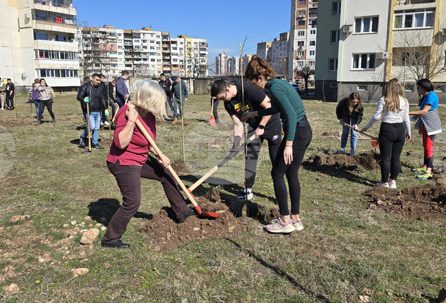 Afforestation Is Way of Thinking, Says Vratsa Mayor