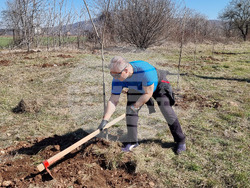 Враца - кампания „Зелена Враца“ - залесяване