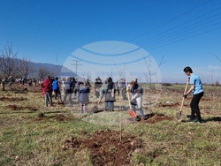 Враца - кампания „Зелена Враца“ - залесяване