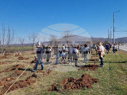 Враца - кампания „Зелена Враца“ - залесяване