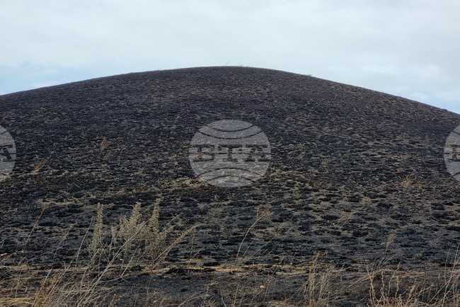 Над 700 декара сухи треви и храсти са изгорели в Монтанско вчера