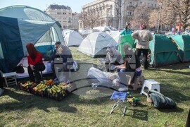 Сърбия - Белград - студенти - палатков лагер