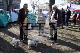 Сърбия - Белград - студенти - палатков лагер