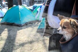 Сърбия - Белград - студенти - палатков лагер