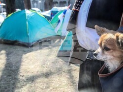 Сърбия - Белград - студенти - палатков лагер