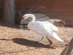 Снимка: Община Стара Загора