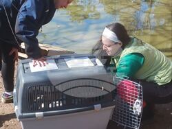 Снимка: Община Стара Загора