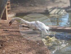 Снимка: Община Стара Загора