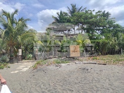 Алайв - Ел Транзито - Никарагуа - Жени Петрова