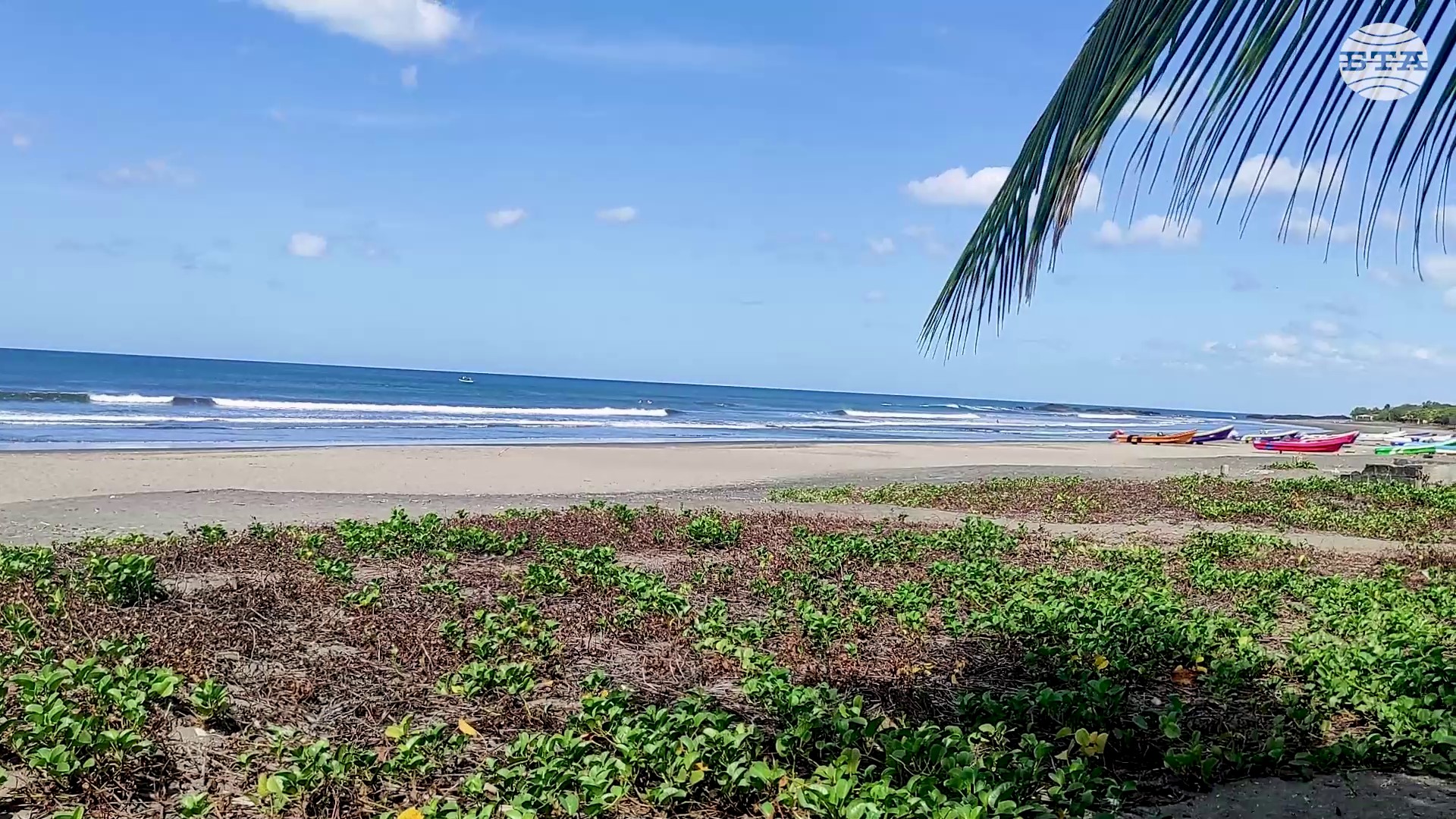 Смелият скок на една българка в сърфа и хотелиерството