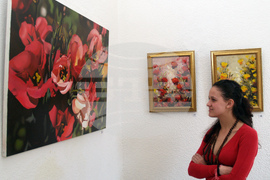 На 8 март 2007 г. е открита изложба живопис, посветена на Международния ден на жената - 8 март