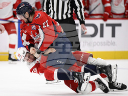 Red Wings Capitals Hockey