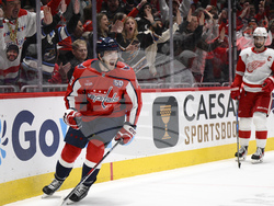 Red Wings Capitals Hockey